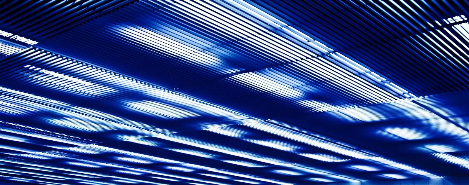 Newsletter article #1 Newsletter article #1