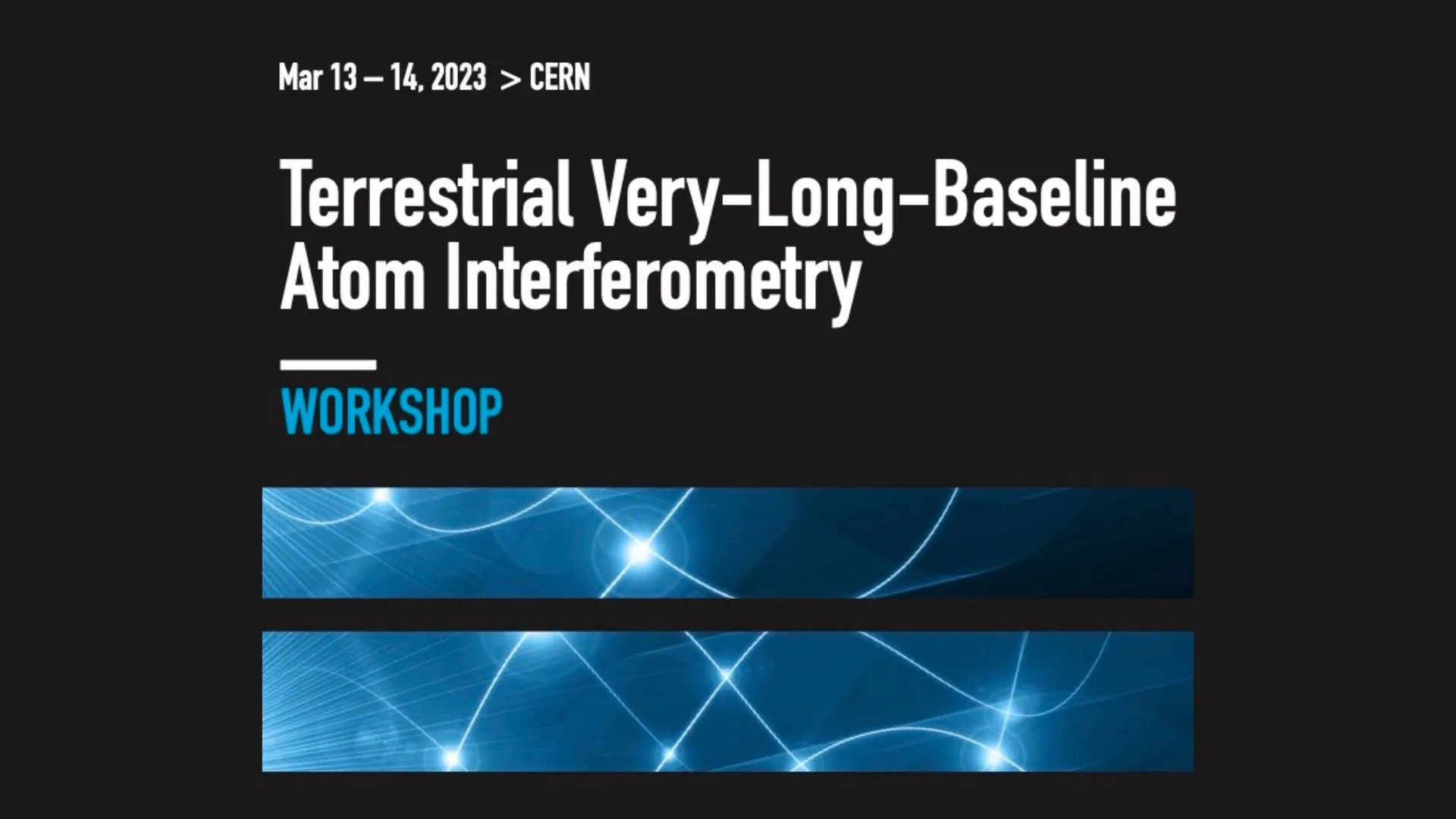 Terrestrial Very-Long-Baseline Atom Interferometry Workshop
